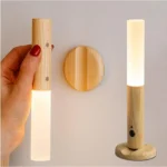 Intelligent Induction Light