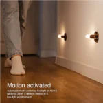 Intelligent Induction Light - Image 4